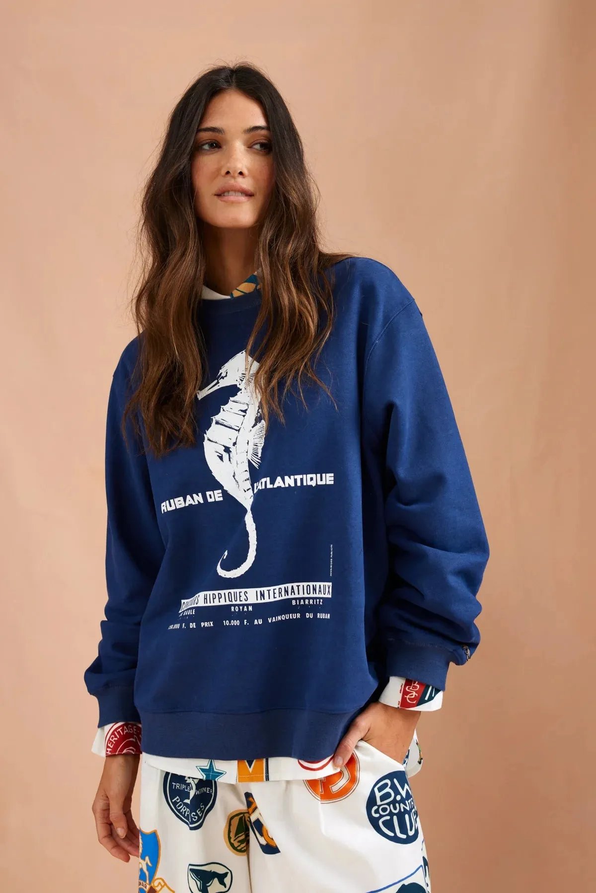 Binny, Seahorses Sweater